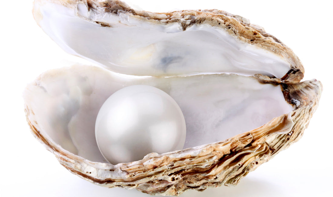 What Makes a Mother of Pearl Darbuka Special?
